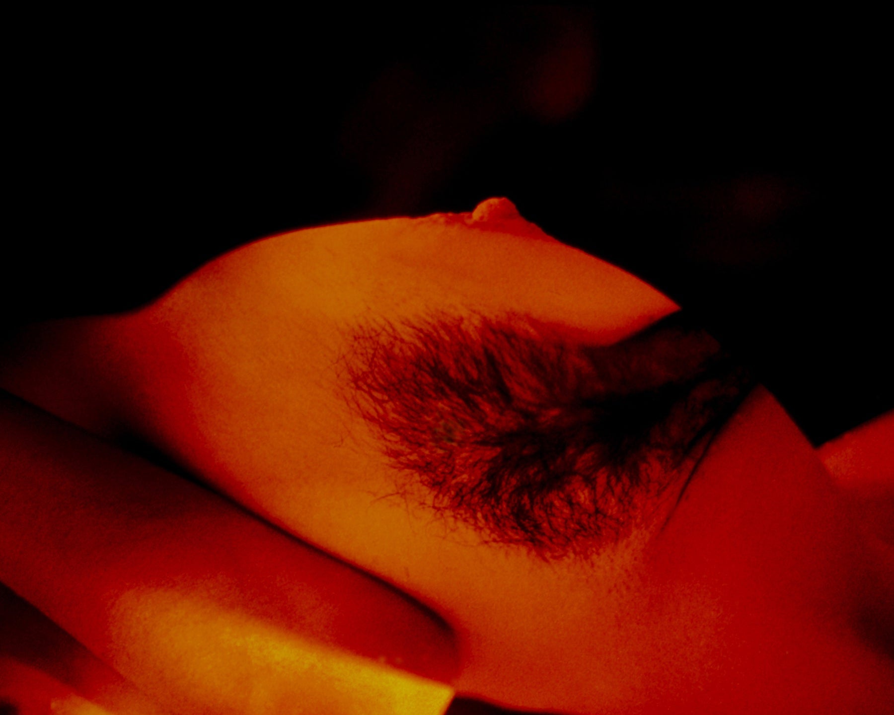 Body Landscapes